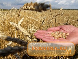 Урожай-2016: в Украине завершается сбор ранних зерновых